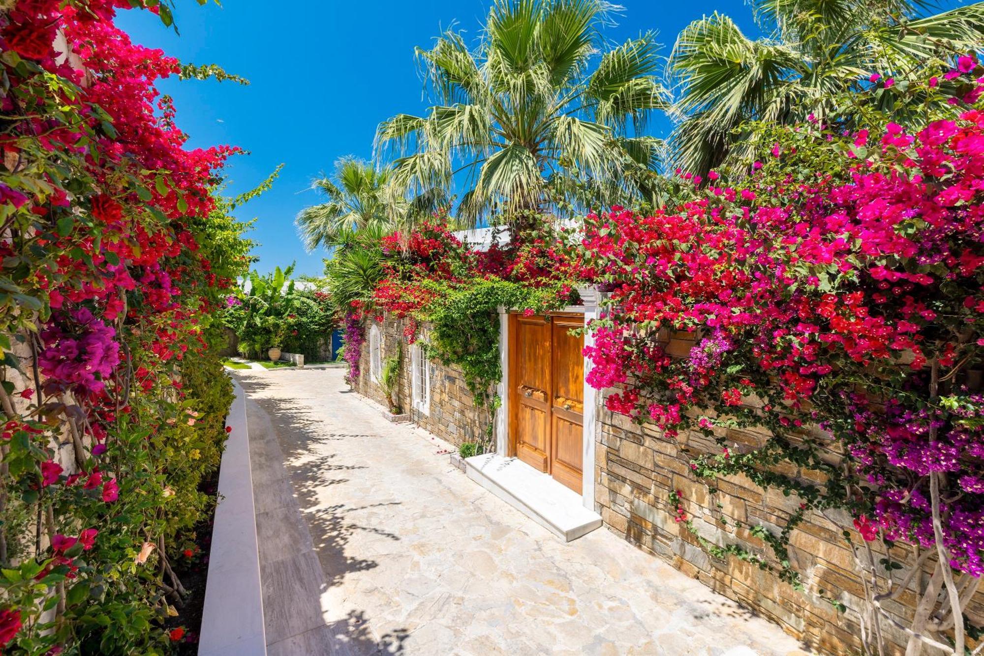 Porto Zante And 5*